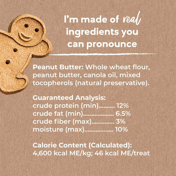Buddy Biscuits with Peanut Butter Oven Baked Dog Treats