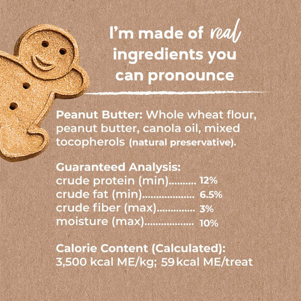 Buddy Biscuits with Peanut Butter Oven Baked Dog Treats