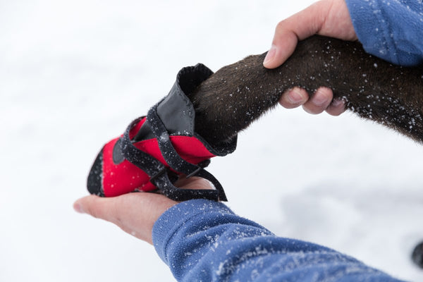 Pawsh Pads Bottines protectrices pour pattes de chien, Rouge.