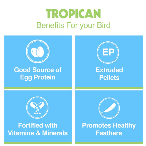 HARI Tropican Granulés aux Œufs pour Petits Oiseaux