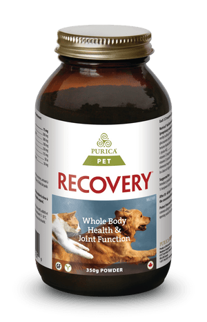 Purica Recovery Powder Dog & Cat Supplement, 350-gram
