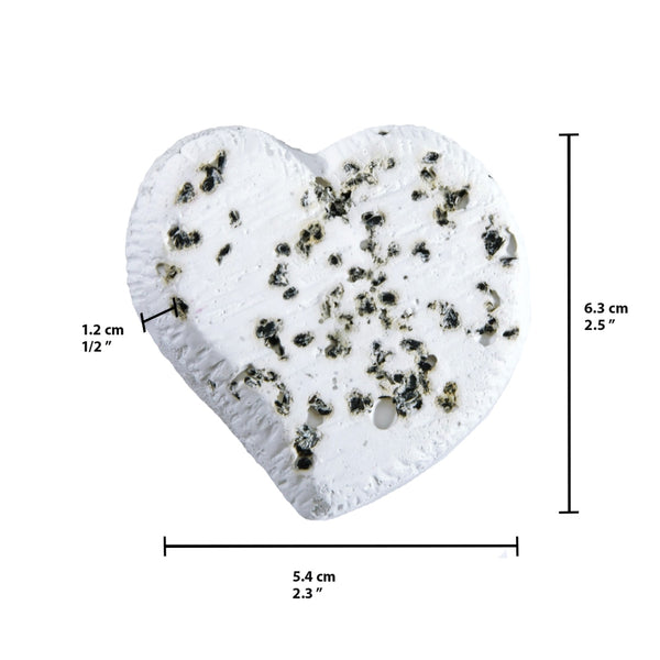 HARI Bloc Minéral pour Petits Oiseaux, Graines de Cumin Noir, 1,2 oz
