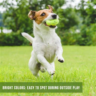 Hyper Pet 4 Pack of Balls for Dogs, Green