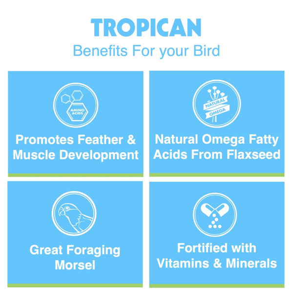 HARI Tropican High Performance Formula Biscuits for Large Parrots