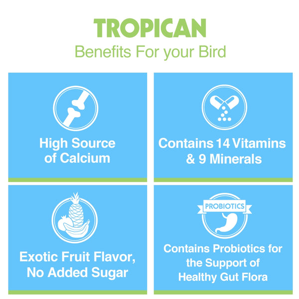 HARI Prime Vitamin Mineral Amino Acid Supplement for Birds