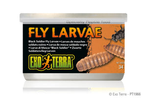 Exo Terra Fly Larvae Reptile Food