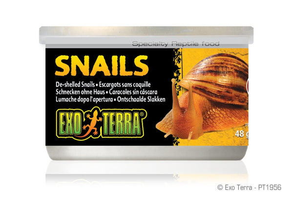 Exo Terra Escargots sans coquille Nourriture pour reptiles