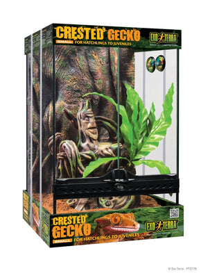 Exo Terra Crested Gecko Terrarium