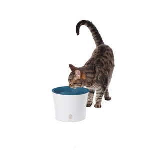 Catit Design Senses Drinking Fountain, 100-oz