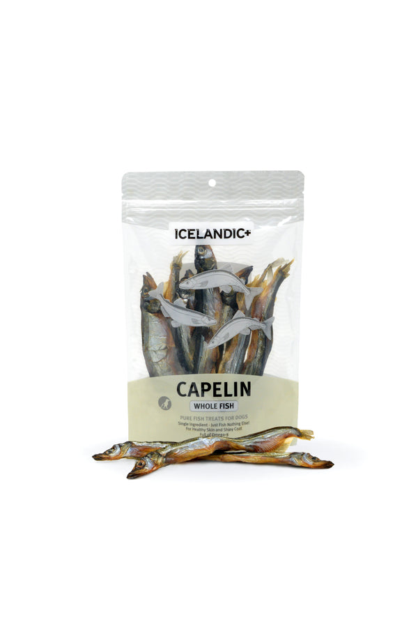 Friandises pour chien Icelandic+ Capelan Pure Fish, sac de 2,5 oz