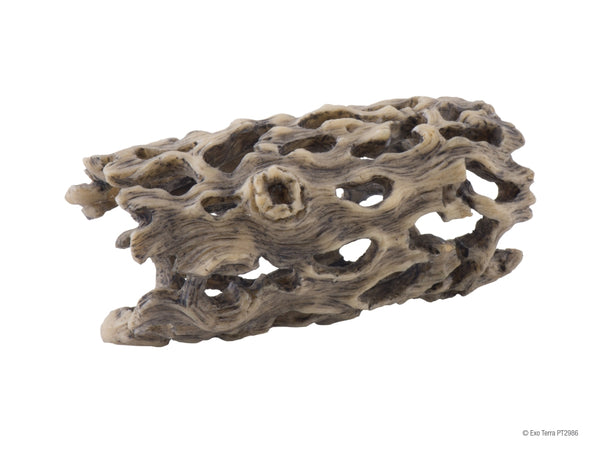 Exo Terra Cholla Cactus Skeleton for Terrariums