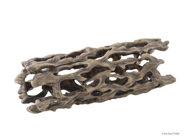 Exo Terra Cholla Cactus Skeleton for Terrariums