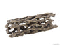 Exo Terra Cholla Cactus Skeleton for Terrariums