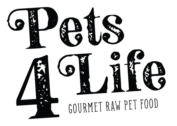 Pets4Life Frozen Beef Patties for Dogs, 8-oz