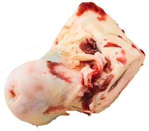 K9 Choice Friandises os rotule de bœuf pour chiens