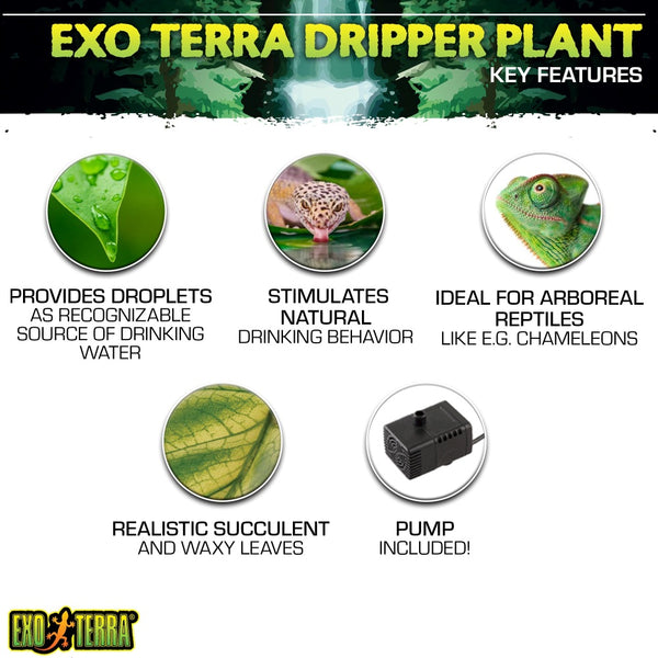 Exo Terra Dripper Plant Drip Watering System for Reptiles