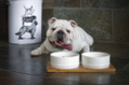 BeOneBreed Bols en bambou