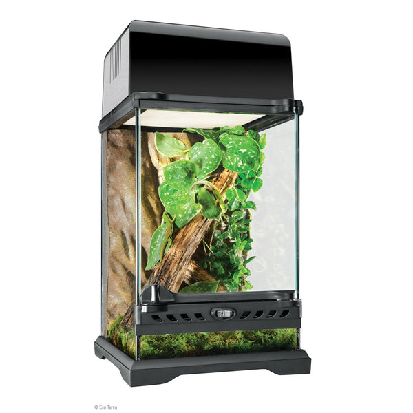 Exo Terra Natural Terrarium Advanced Reptile Habitat, Nano