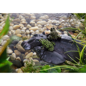 Exo Terra Hippo Turtle Island