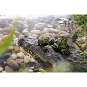 Exo Terra Croc Turtle Island