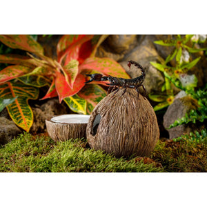Exo Terra Coconut Hide & Dish for Reptiles