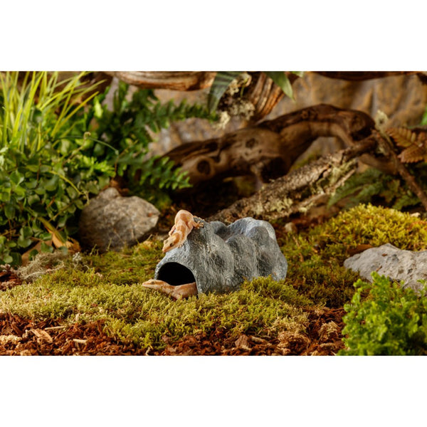 Exo Terra Wet Rock Cave for Terrariums