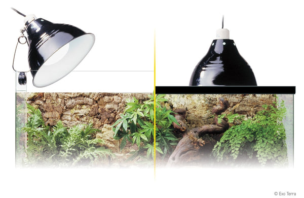 Exo Terra Glow Light for Terrariums