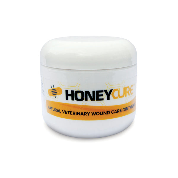 HoneyCure Pommade vétérinaire à base de miel de Manuka pour soins des plaies, pot