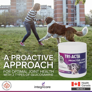 Tri-Acta Regular Strength Joint Health Supplement for Medium Dogs