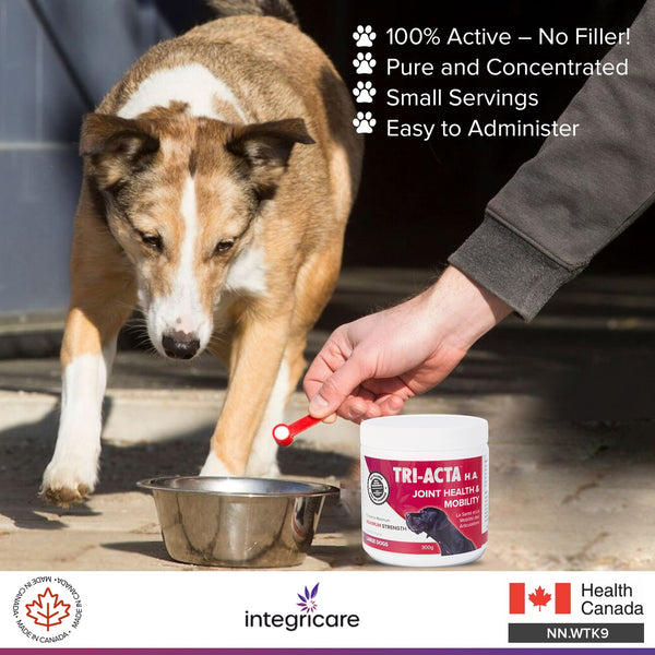 Tri-Acta H.A. Maximum Strength Joint Health Supplement for Large Dogs