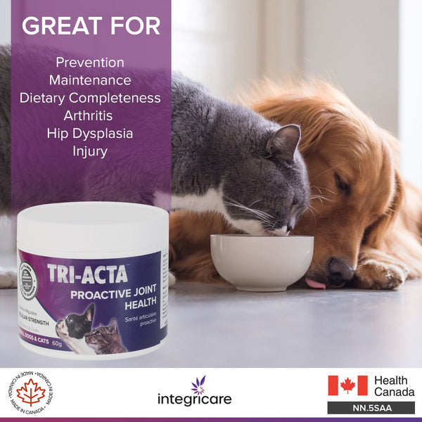 Tri-Acta Regular Strength Joint Health Supplement for Small Dogs & Cats