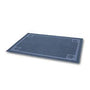 Tapis de réception Petmate, grand. Glace bleue
