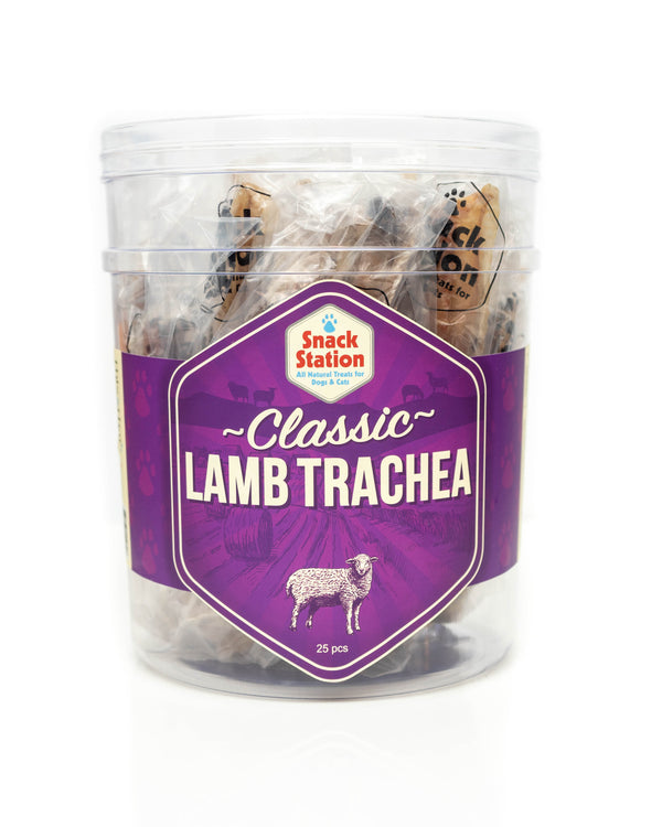 This & That Snack Station Classic Lamb Trachea Dog Treats