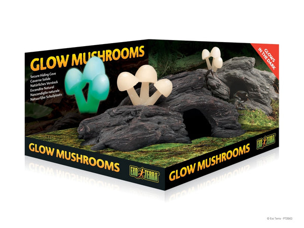 Exo Terra Grotte avec champignons luminescents pour reptiles