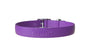 Original Bond Dog Collar, Grape