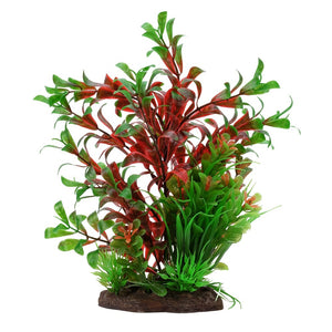 Fluval Aqualife Red Ludwigia/Dwarf Sagittarius Plant, 8-in