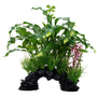 Fluval Aqualife Curly Aponogeton Mix, 10-in