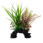 Fluval Aqualife Sagittarius/Rotala, 8-in