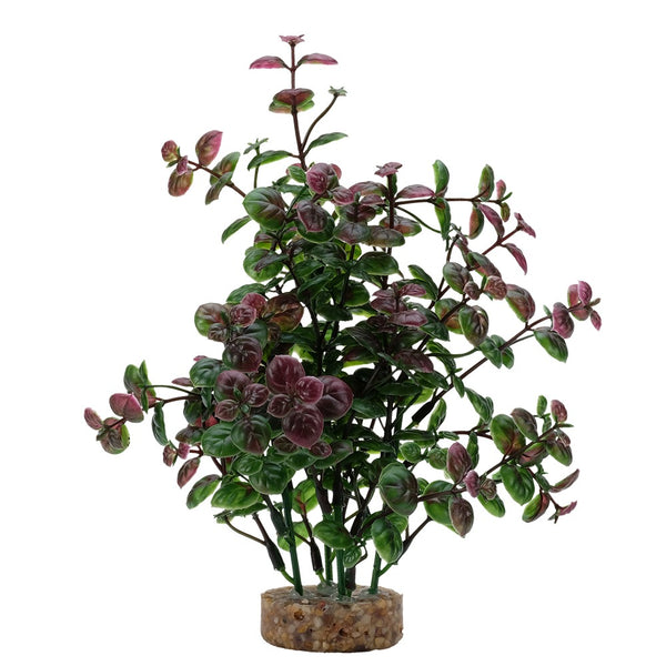 Fluval Aqualife Red Bacopa
