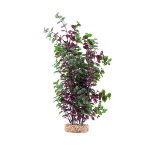 Fluval Aqualife Red Bacopa