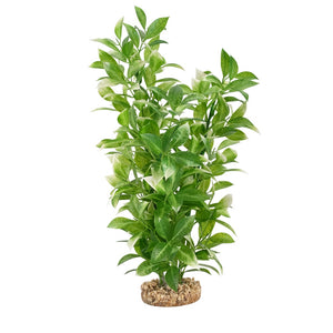 Fluval Aqualife White-Tipped Ludwigia