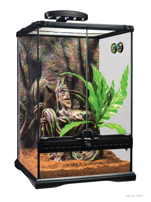 Exo Terra Crested Gecko Terrarium