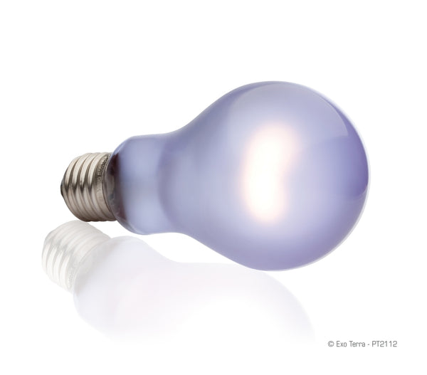 Exo Terra Daytime Heat Reptile Lamp, 100-watt
