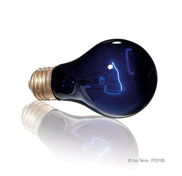 Exo Terra Night Heat Bulb Reptile Lamp
