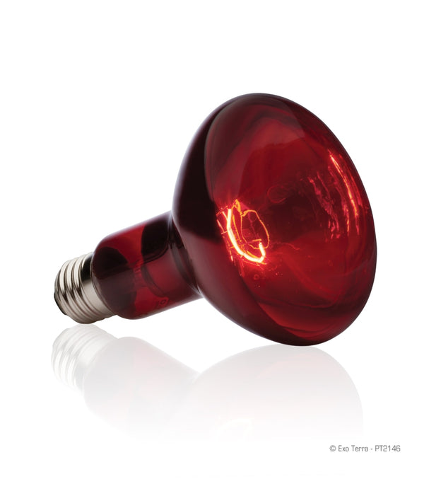 Exo Terra Infrared Basking Reptile Spot Lamp