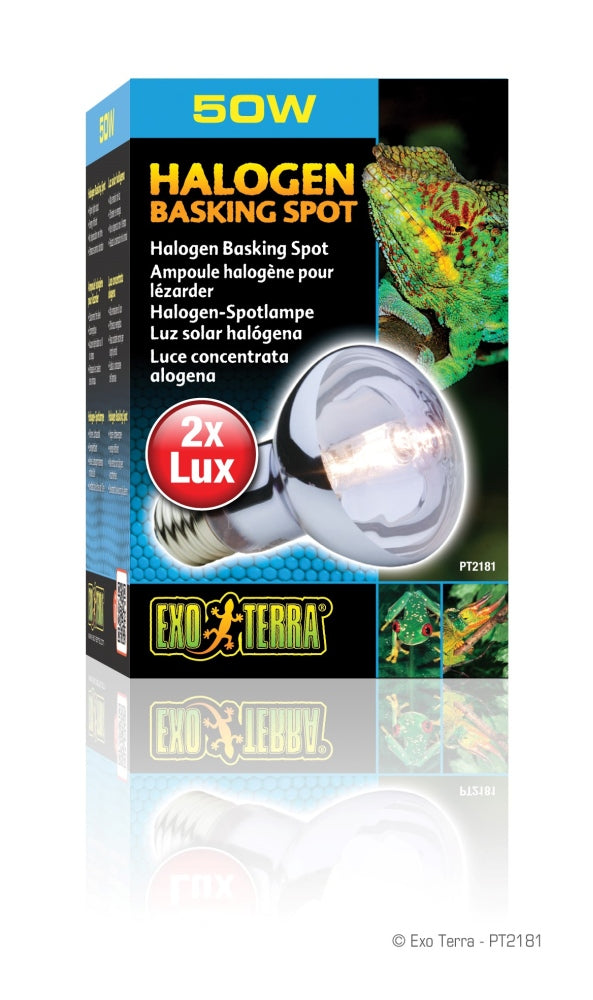 Exo Terra Sun Glo Halogen Daylight Reptile Lamp