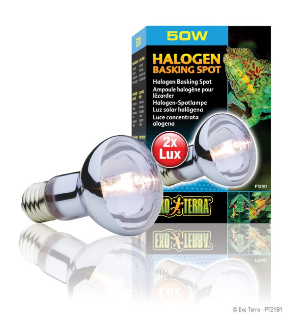 Exo Terra Sun Glo Halogen Daylight Reptile Lamp