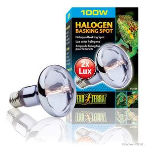 Exo Terra Sun Glo Halogen Daylight Reptile Lamp