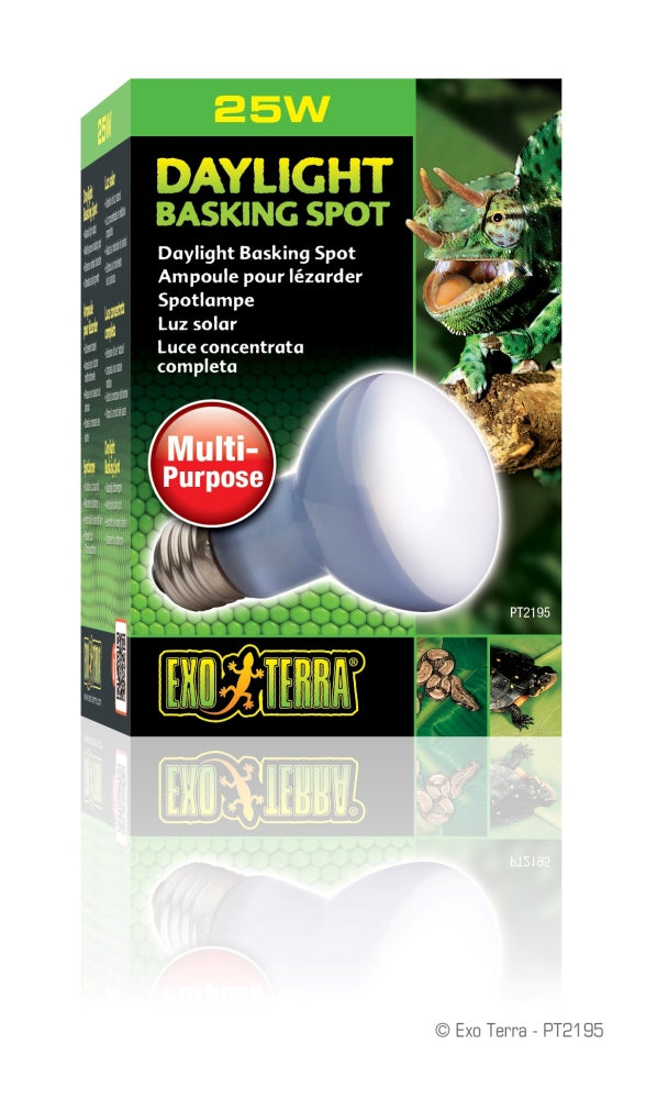 Exo Terra Lampe Spot Reptile Éclairage Diurne, ampoule 25-w