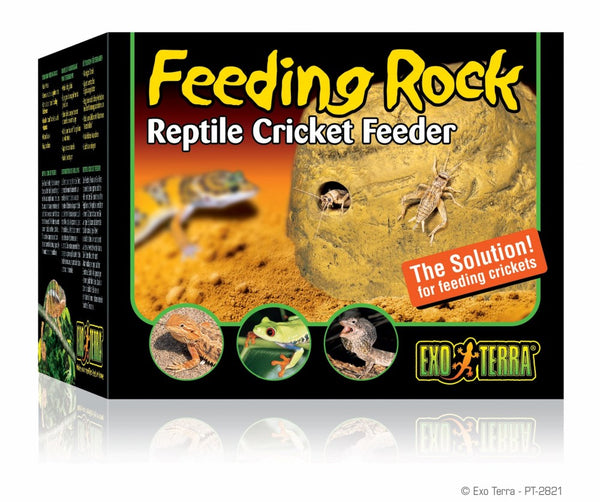 Exo Terra Reptile Cricket Feeder